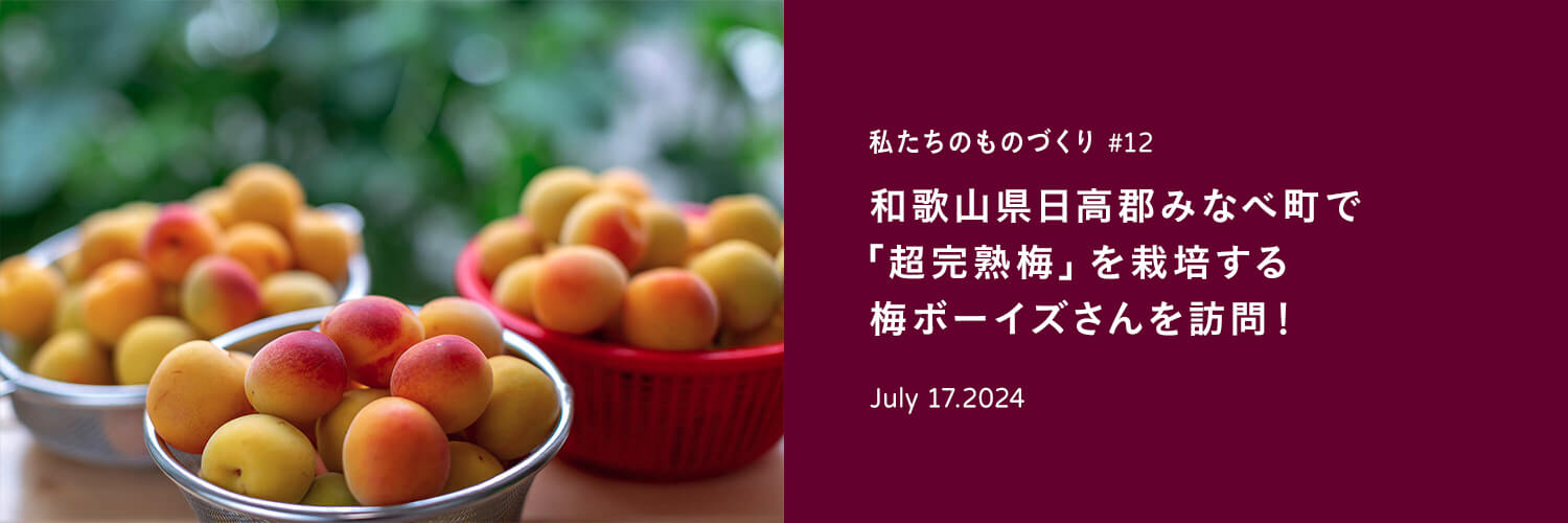 私たちのものづくり#12 和歌山県日高郡みなべ町で「超完熟梅」を栽培する梅ボーイズさんを訪問！